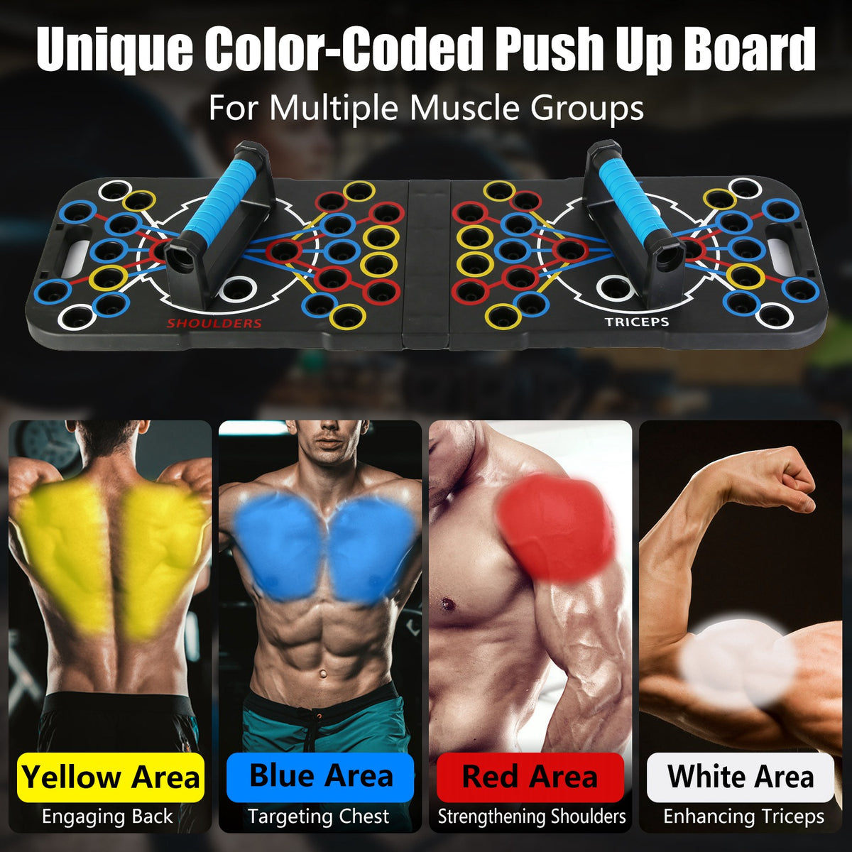 Foldable Push-Up Board and Home Workout Kit
